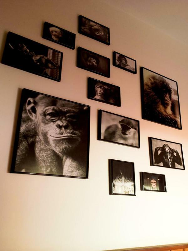 The Mellow Monkey Hostel Zadar Extérieur photo