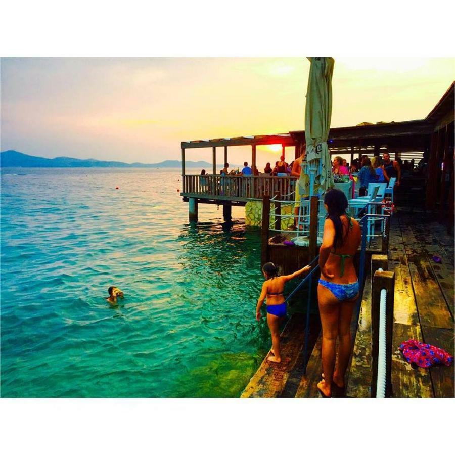 The Mellow Monkey Hostel Zadar Extérieur photo